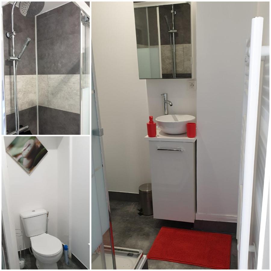 Chambres Poitiers Centre Ville - Salle De Bain, Refrigerateur, Tv Et Machine A Cafe Privatifs - Cuisine Commune - Terrasse - Hotel De Ville A 200M Exterior photo